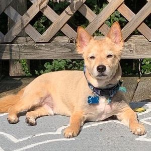 Meet your Posher, Eleanor